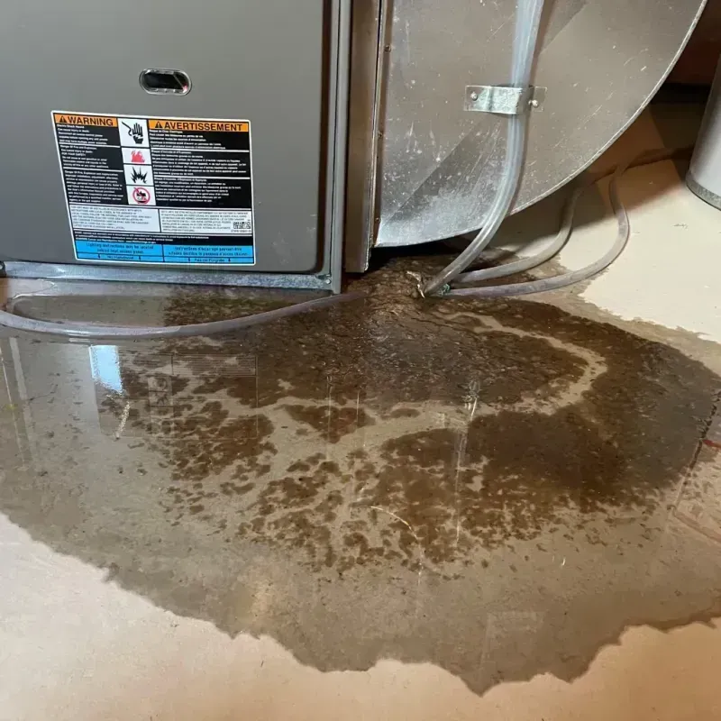 Appliance Leak Cleanup in Whatcom County, WA